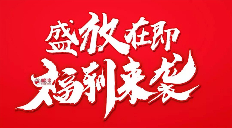 再拓边陲！BBIN宝盈集团We+定造&红星美凯龙携手亮相乌鲁木齐