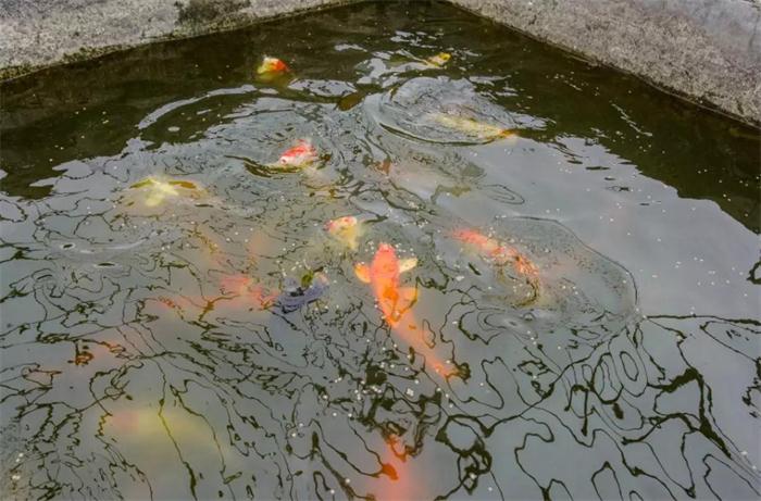 首页-BBIN宝盈集团官方网站