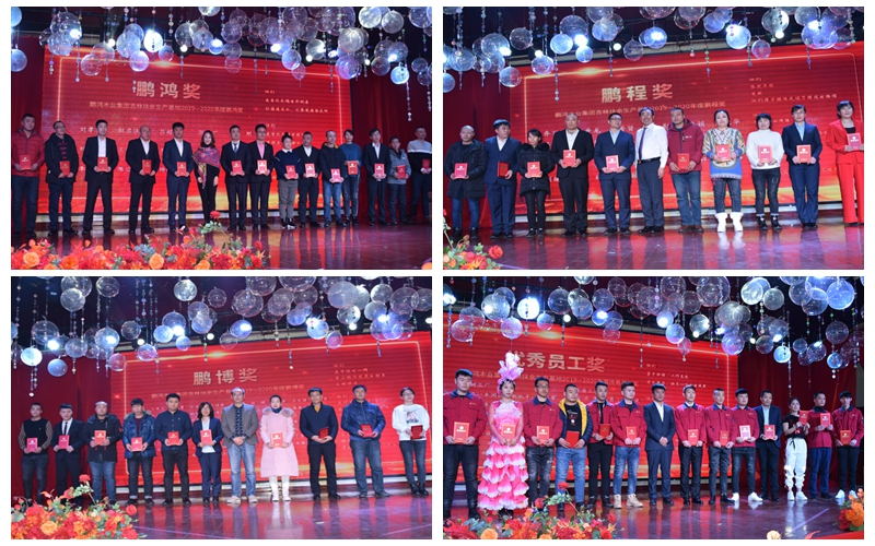 BBIN宝盈集团板材家居工厂年杜着秀员工