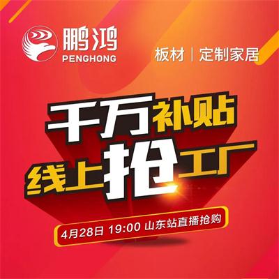 BBIN宝盈集团板材工厂补助让利 惠战山东