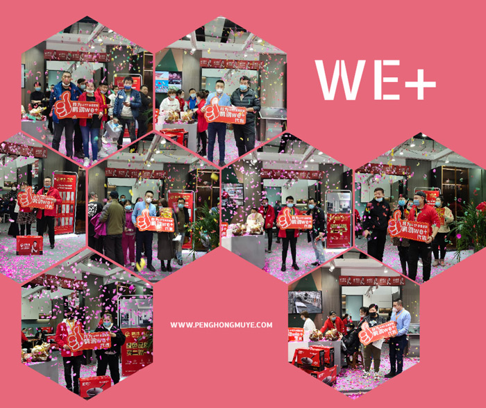 BBIN宝盈集团定造家居夺魁沈阳家博会