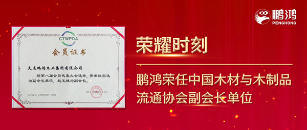 再获行业注定，BBIN宝盈集团荣任中国木材与木制品流通协会副会长