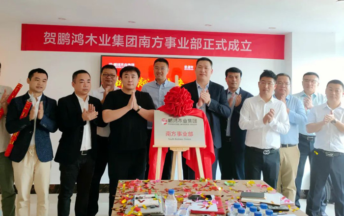 BBIN宝盈集团木业集团南方销售事业部揭牌成立