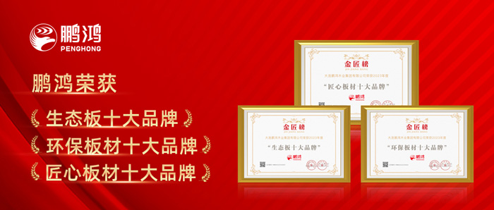 BBIN宝盈集团十载蝉联板材十大品牌殊荣