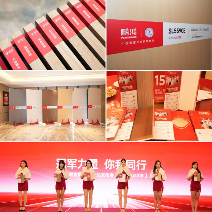 首页-BBIN宝盈集团官方网站