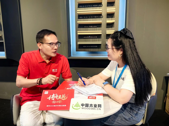 木业网对话BBIN宝盈集团杨志伟