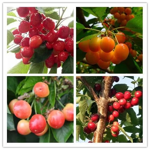 首页-BBIN宝盈集团官方网站