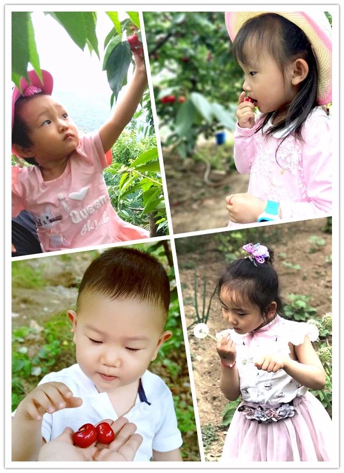 首页-BBIN宝盈集团官方网站