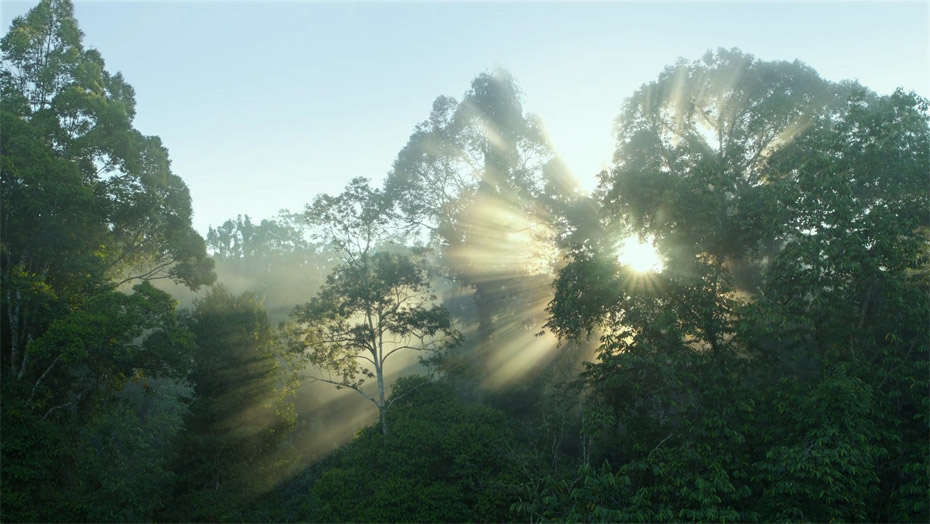 首页-BBIN宝盈集团官方网站