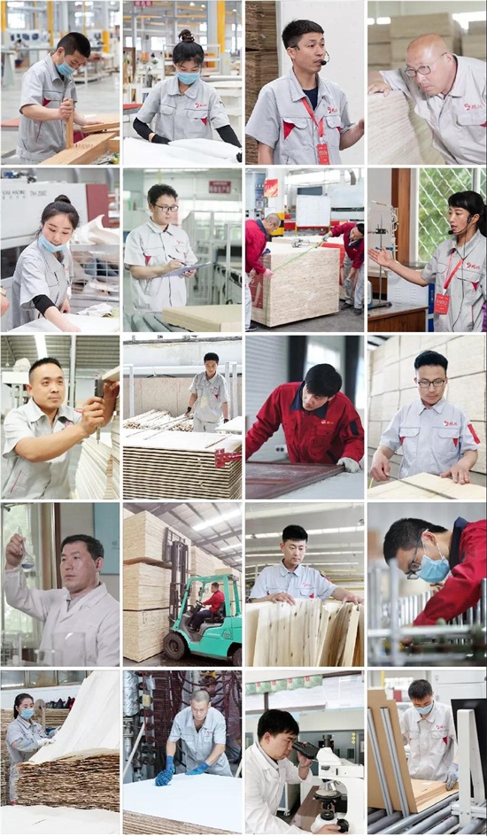 BBIN宝盈集团板材